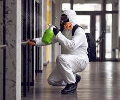 Why You Should Choose Our Mold Remediation Services in Girard, IL