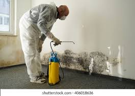 Reliable Girard, IL Mold Removal Solutions